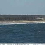 Ogunquit Beach Webcam [VIDEO]