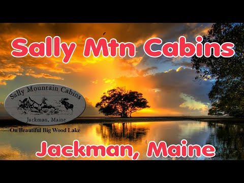 Jackman Maine Webcam - Wood Pond Cam