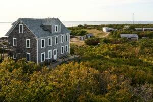 Appledore Island Live Webcam