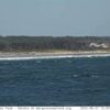 Ogunquit Beach Webcam [VIDEO]